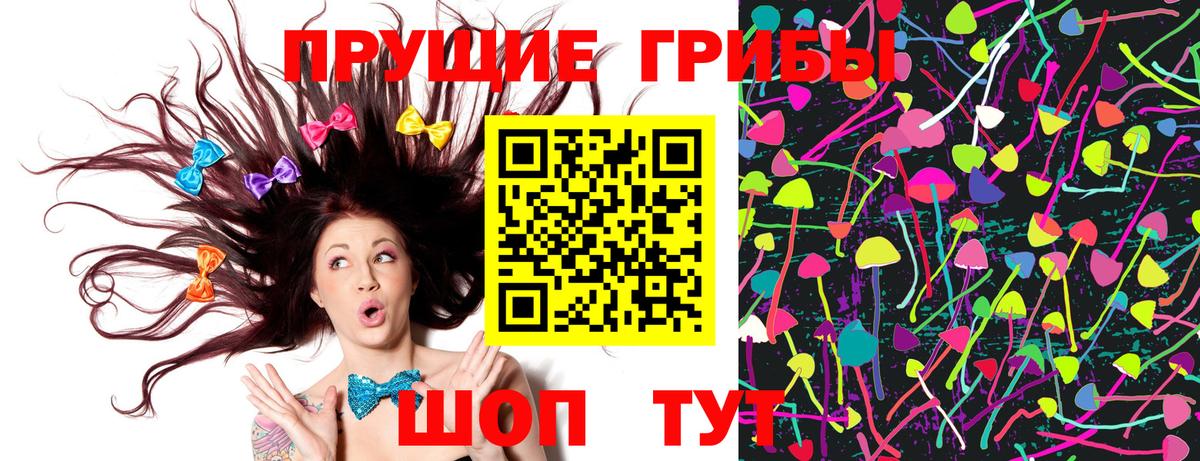 Псилоцибиновые грибы Cubensis Вичуга